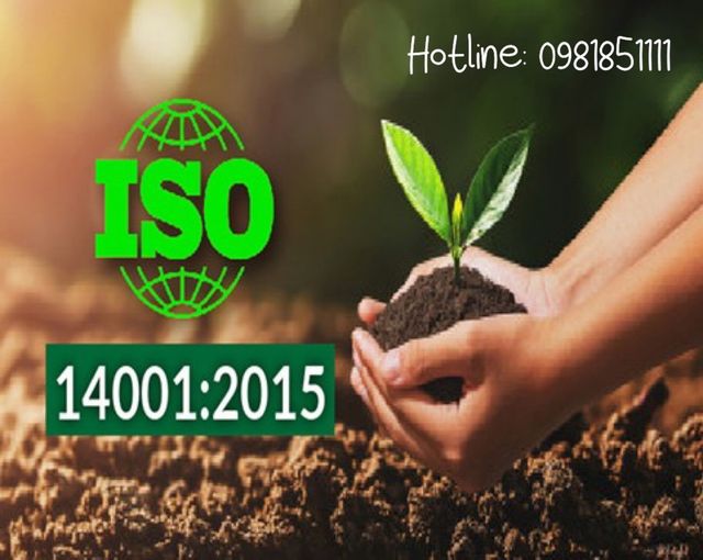 Doanh nghiệp nâng cao uy tín, thúc đẩy phát triển bền vững với tiêu chuẩn ISO 14001